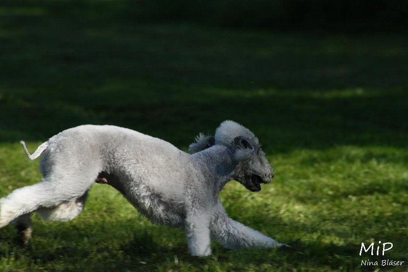 2010-10-03 Coursing-Training GE (28).jpg